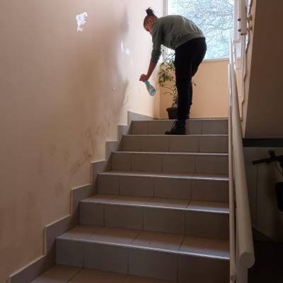 Tranzit Pt Tineri 16.09.2024 5