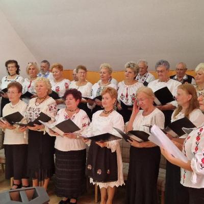 Concert Crizanteme Castane 2024 12