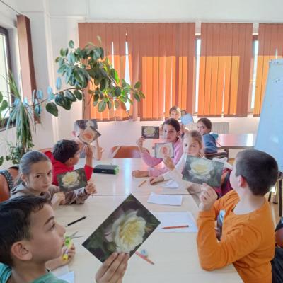 Carti Postale Cr 10.24