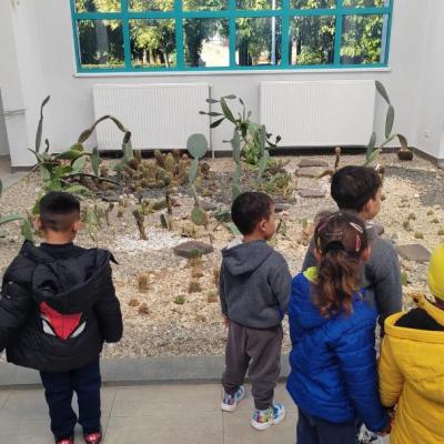 Scoala Altfel 25.10.2024 8