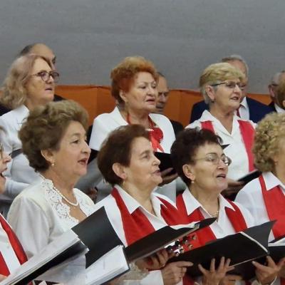 Spectacol Cor Crizanteme 12.2024 7