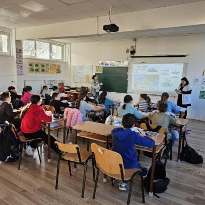 Masuri Gripa 16.01.2025 2