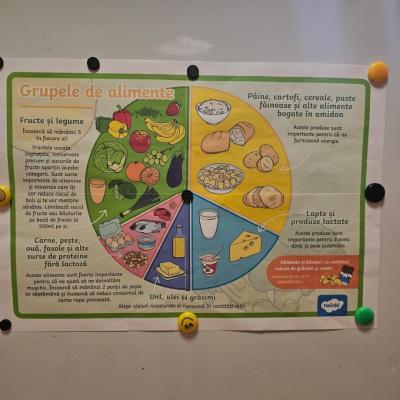 Farfuria Ideala 2 Farfuria Ideala 2