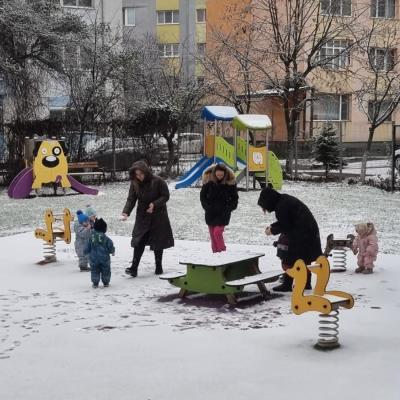 Miscareafara17 1 Miscareafara17 1