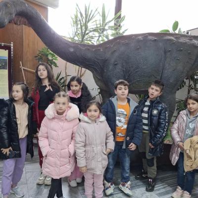 Activitati Vacanta 26.02.2025 12 Activitati Vacanta 26.02.2025 12