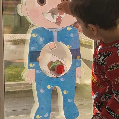 Alimentatie Sanatoasa 11.03.2025 1