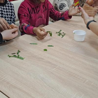 Oua Paste Ccm Si Romanii 2025 9