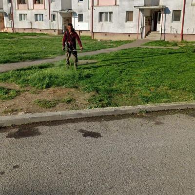 Curatenie De Primavara 24.04.2025 10