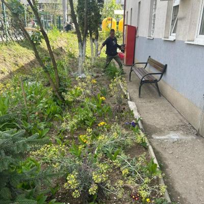 Curatenie De Primavara 24.04.2025 11