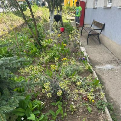 Curatenie De Primavara 24.04.2025 1