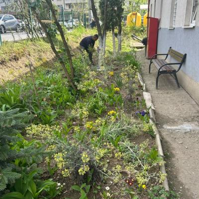 Curatenie De Primavara 24.04.2025 2