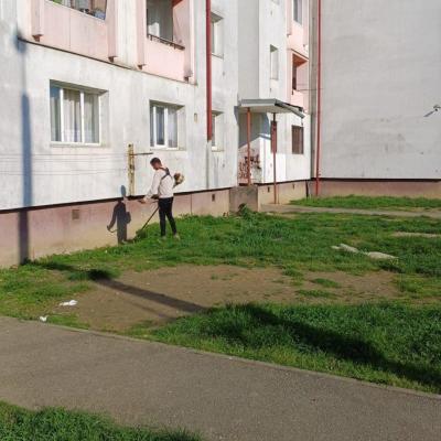 Curatenie De Primavara 24.04.2025 6