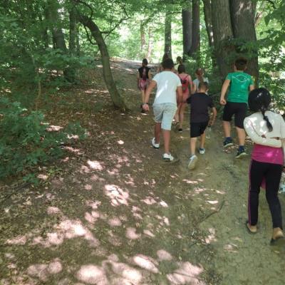 Romanii 01. 03.07.2025 12