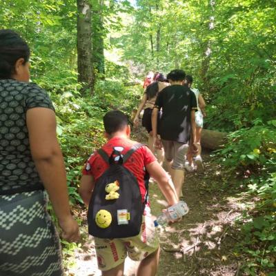 Romanii 01. 03.07.2025 2