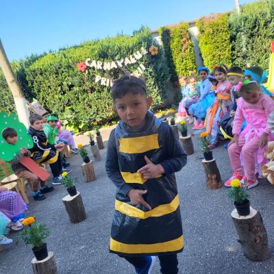 Romanii 26.04.2024 13