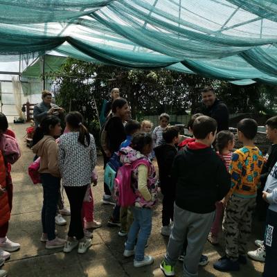 Romanii 26.04.2024 9