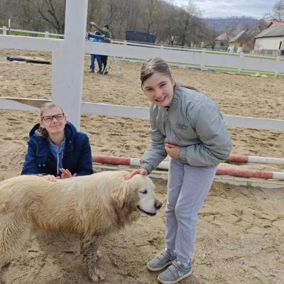 Luchian 29.10.2025 5 Luchian 29.10.2025 5