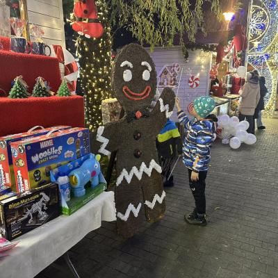 Deschidere Targ Caritabil 31