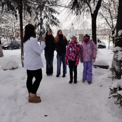 Triaj Si Masuri Protectie Elevi 1313.01.2025