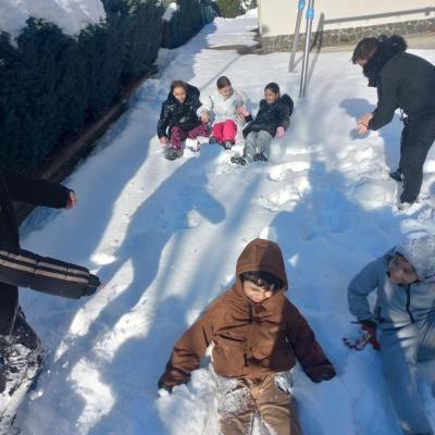 Bulgareala 19.01.2026 3