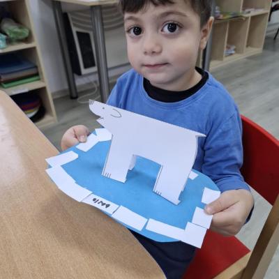 Animale Polare Ccm 05.02.2026 16