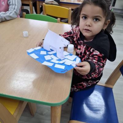 Animale Polare Ccm 05.02.2026 4