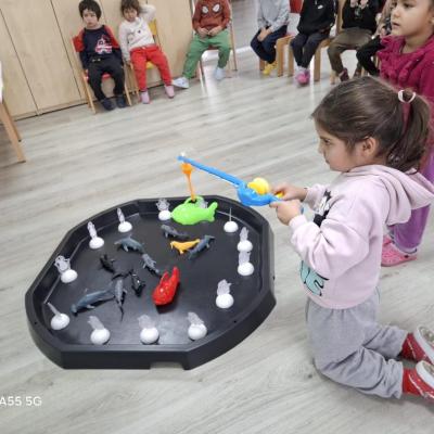 Animale Polare Ccm 05.02.2026 7