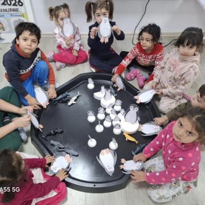 Animale Polare Ccm 05.02.2026 8