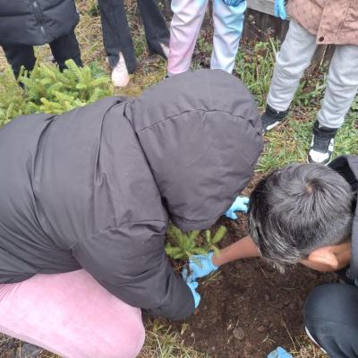 Saptamana Verde 04.2026 4