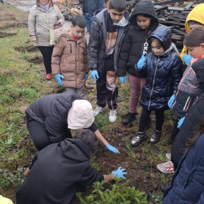 Saptamana Verde 04.2026 5