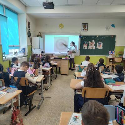 Muscatura Capusa 29.04.2026 1