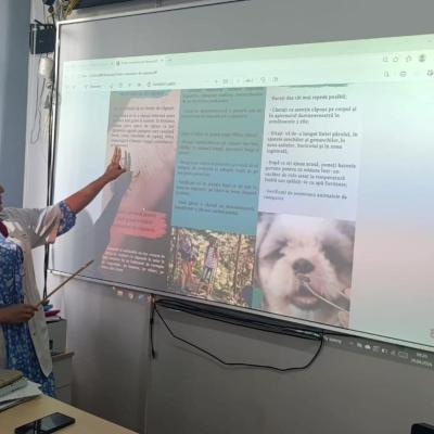 Muscatura Capusa 29.04.2026 3