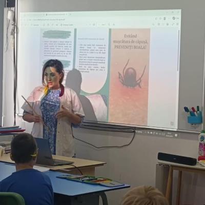 Muscatura Capusa 29.04.2026 5