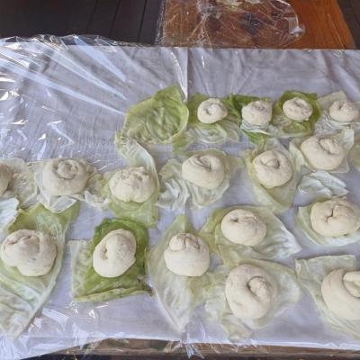 Tabara Vara 1.2024 10 Tabara Vara 1.2024 10