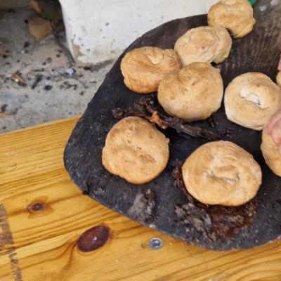 Tabara Vara 1.2024 25 Tabara Vara 1.2024 25