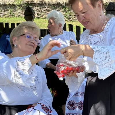 Muzeul Satului Sezatoare 09.06.2026 11
