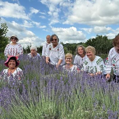 Lavanda 16.06.2026 4