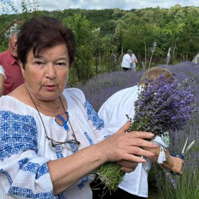 Lavanda 16.06.2026 6