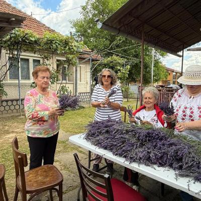 Lavanda 16.06.2026 7