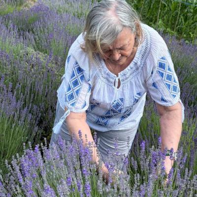 Lavanda 16.06.2026 9