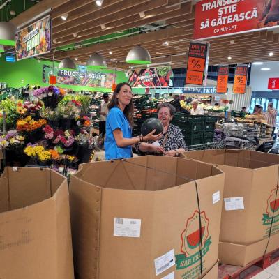 Ingrijiri Dom. 01.08.2024 2