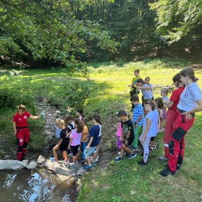 Rivulus Tabara De Vara 3 2024 12 Rivulus Tabara De Vara 3 2024 12