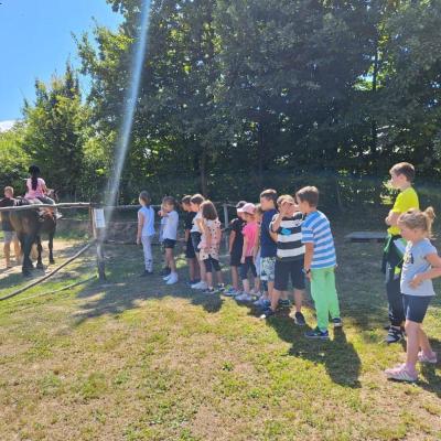 Rivulus Tabara De Vara 3 2024 13 Rivulus Tabara De Vara 3 2024 13