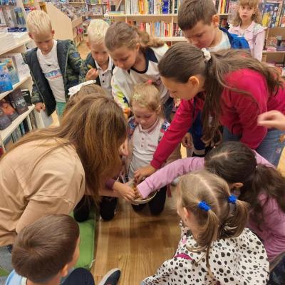 Rivulus Tabara De Vara 3 2024 21 Rivulus Tabara De Vara 3 2024 21