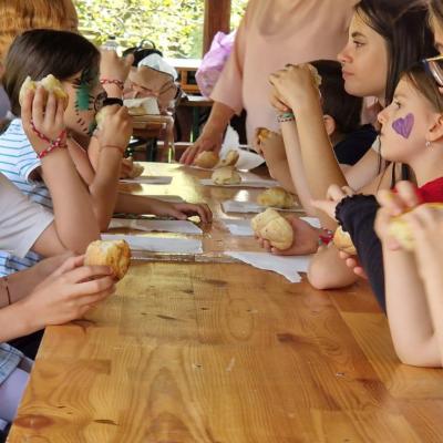 Tabara De Vara 2023 17