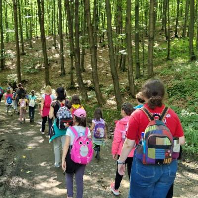 Tabara De Vara 2023 7